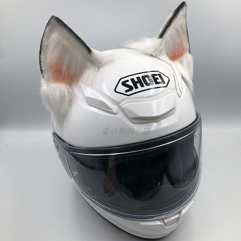 Decoratieve motorhelm met hond - Motorcycle Helmets recensie en prijs